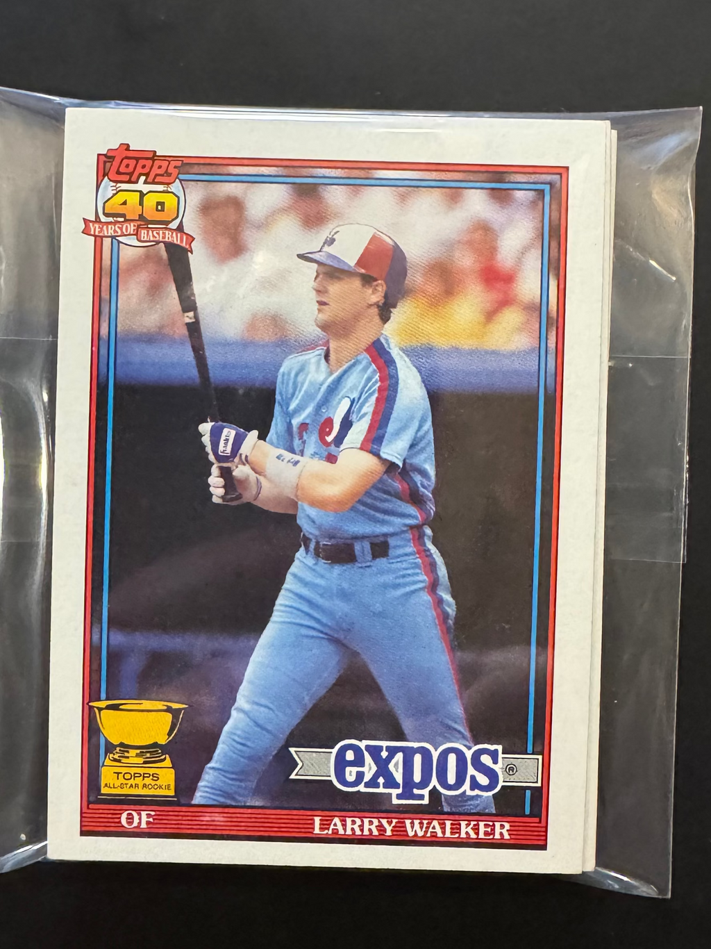 1991 Topps Expos Team Lots