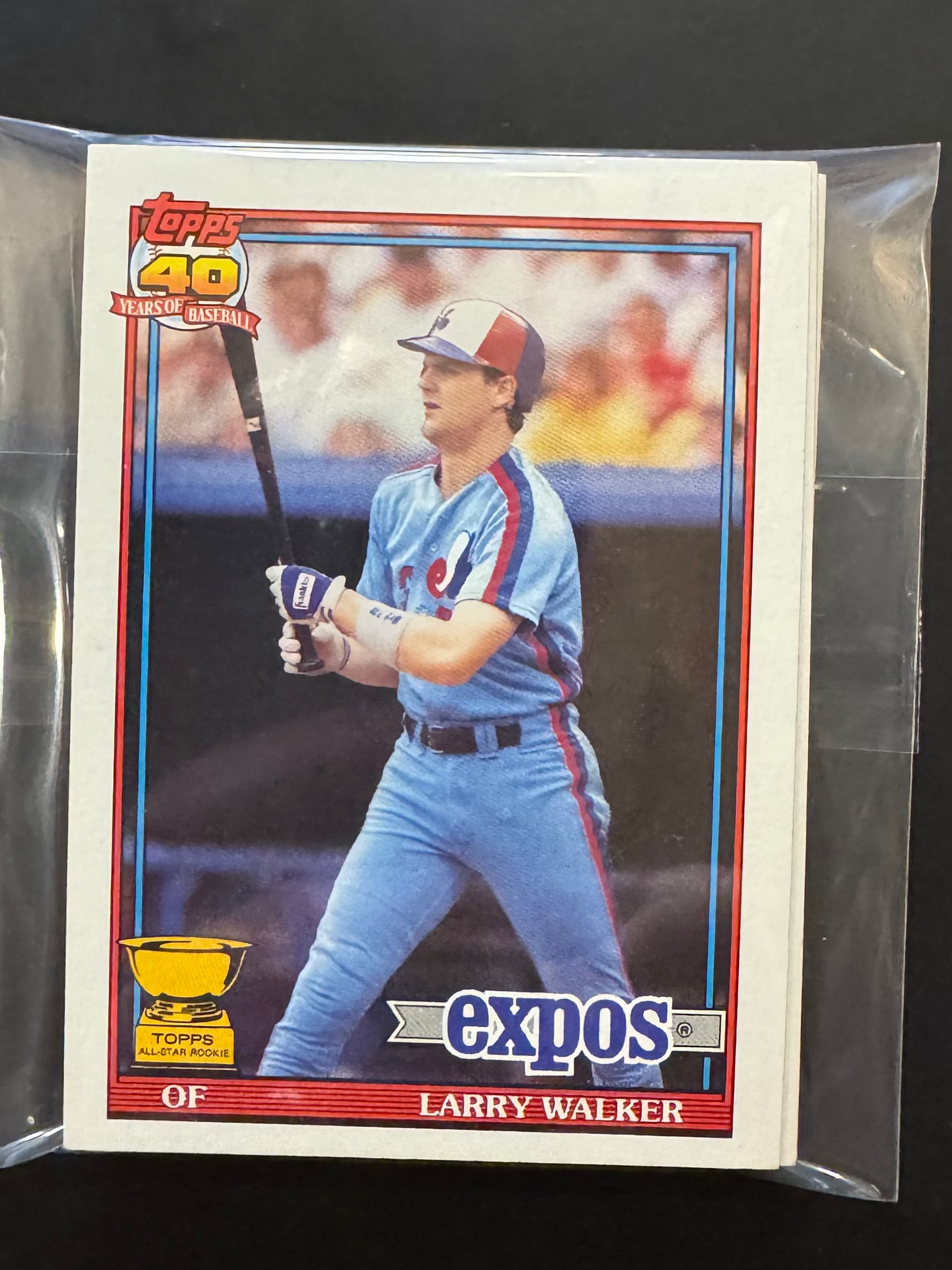 1991 Topps Expos Team Lots