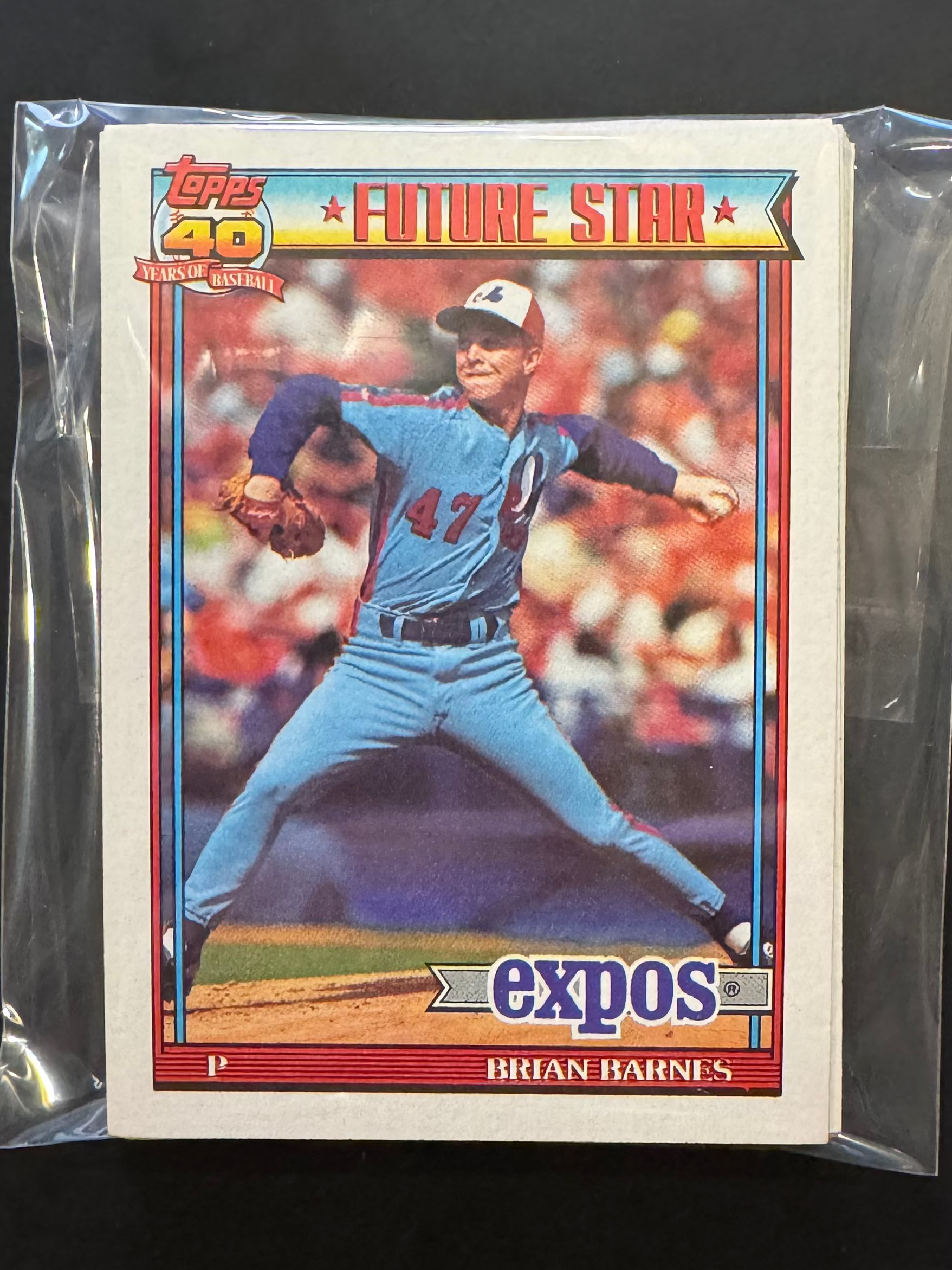 1991 Topps Expos Team Lots