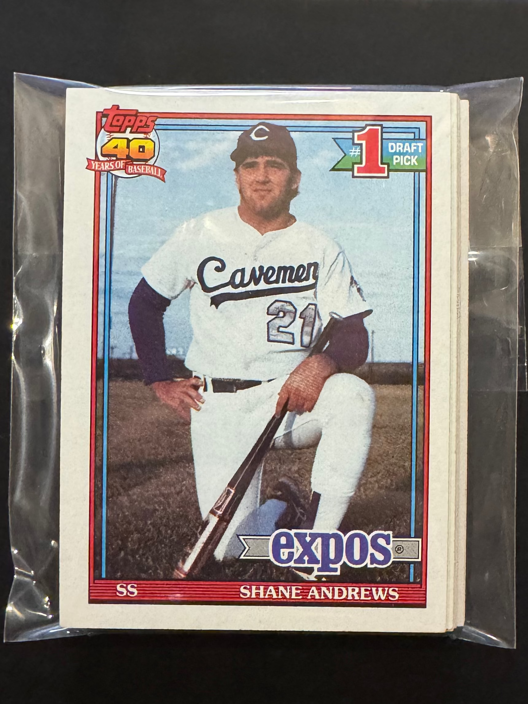 1991 Topps Expos Team Lots