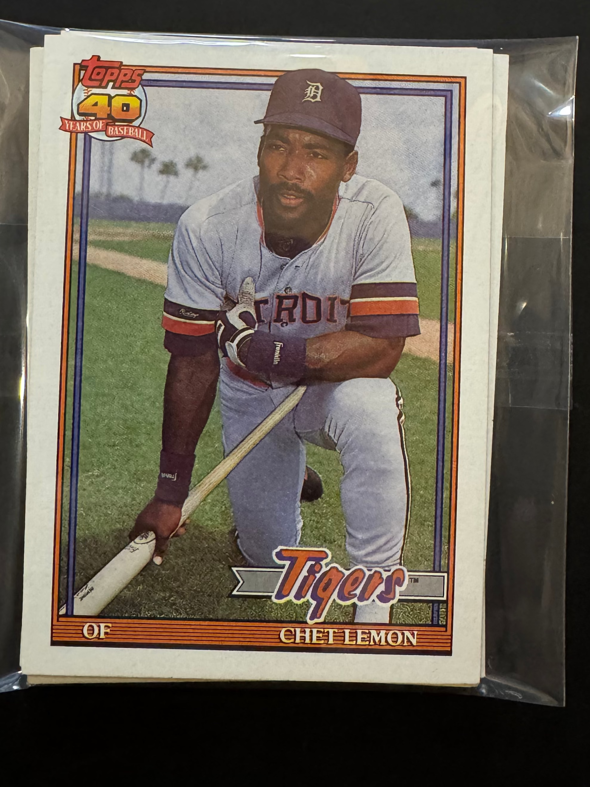 1991 Topps Tigers Team Lots